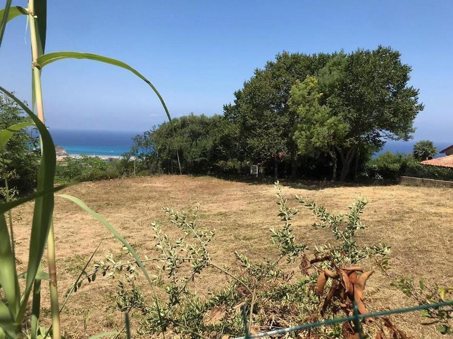 Residenza Crivo Aparthotel Parghelia Bagian luar foto